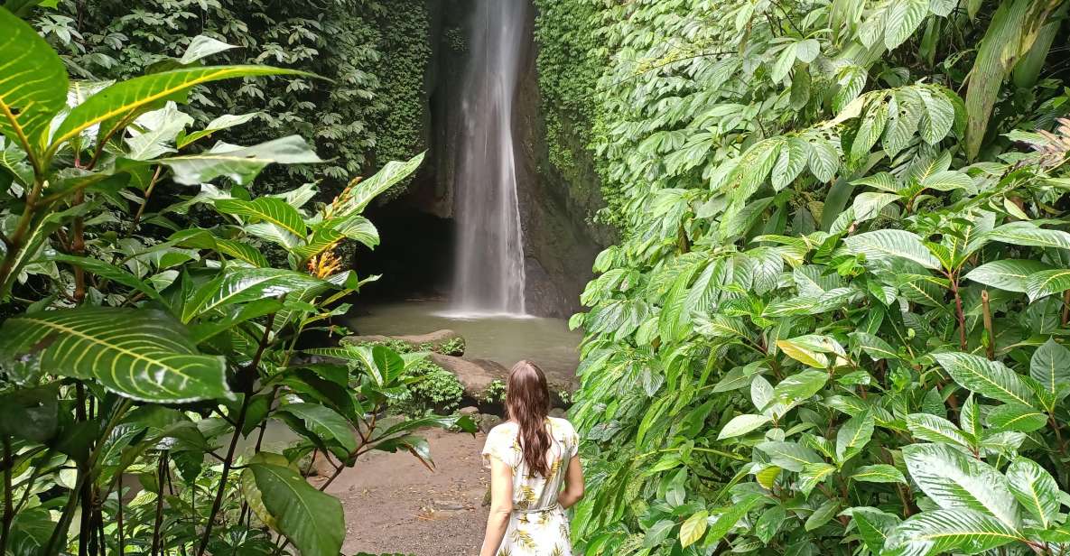 Bali Waterfalls Quest, Discover 4 Waterfalls in 1 Day - Key Points