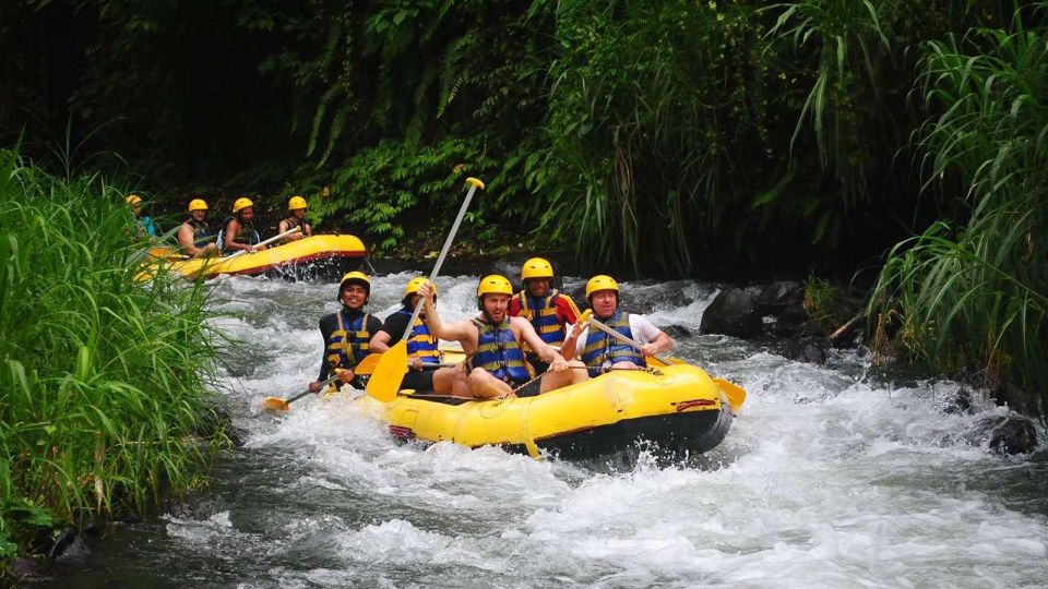 Bali: White Water Rafting Lunch & Private Transfer Included - Key Points