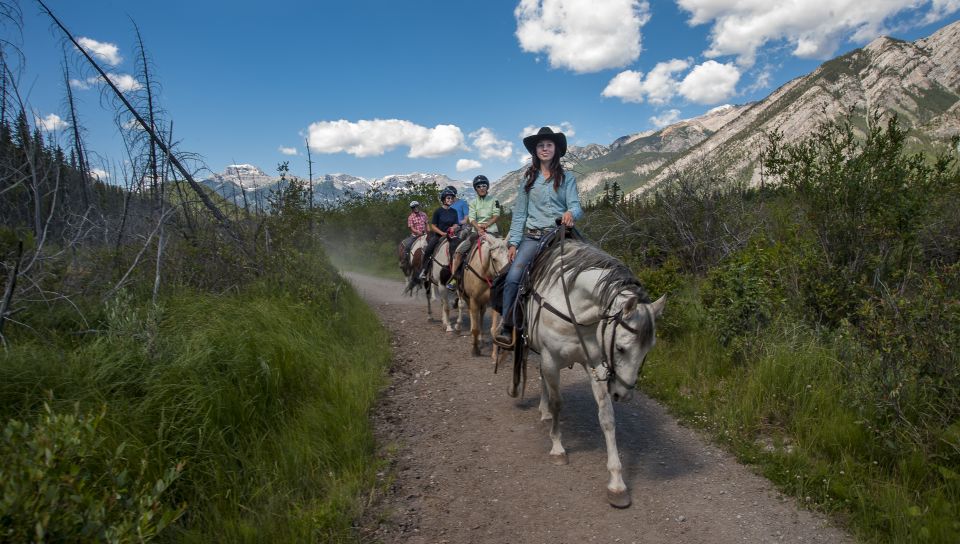 Banff: 3-Hour Bow Valley Loop Horseback Ride - Key Points