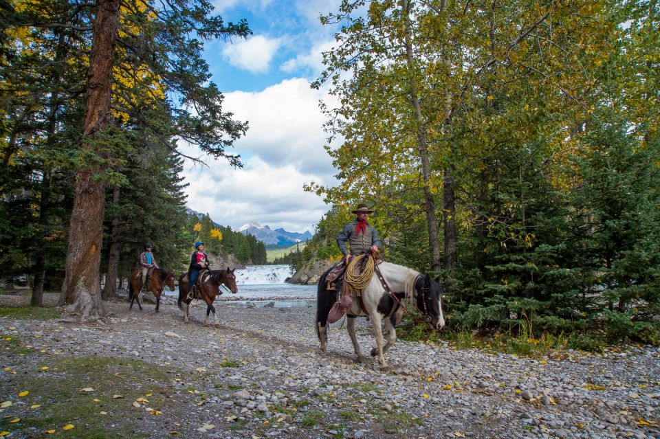 Banff: 4-Hour Sulphur Mountain Intermediate Horseback Ride - Key Points