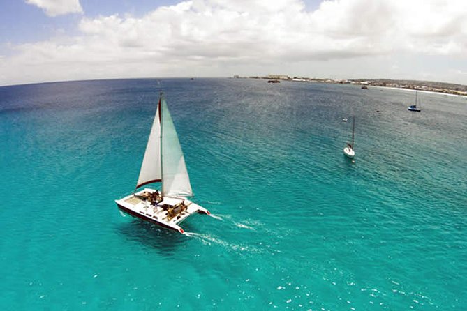 Barbados Catamaran Turtle Snorkel With Lunch and Open Bar - Overview of the Experience