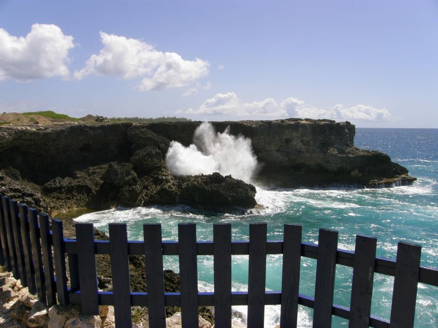 Barbados: Coastal Sightseeing Tour With Lunch and Transfers - Key Points