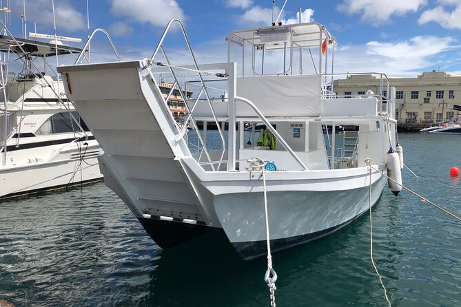 Barbados Turtle and Shipwreck Snorkel Adventure - Overview of the Cruise