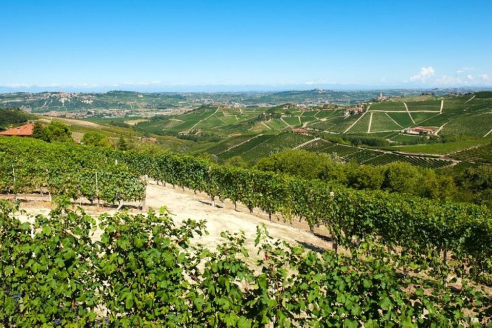 Barbaresco: E-Bike Tour of Piedmont Wineries With Tastings - Key Points