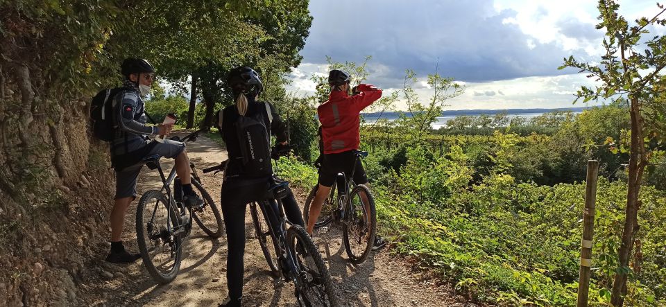 Bardolino: E-Bike Tour and Wine Tasting on the Hills - Key Points