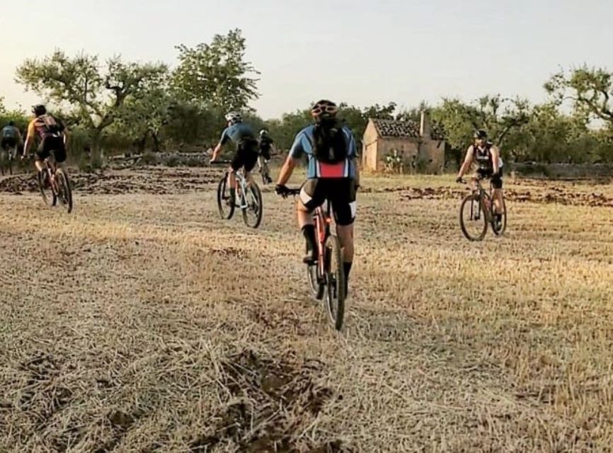 Bari: Ebike Excursion to the Mercadante Forest - Key Points