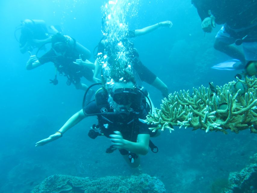 Basic Fun Dive At Menjangan Island - Key Points