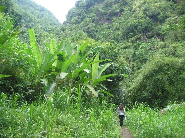 Batur Caldera Sunrise Trekking - Key Points