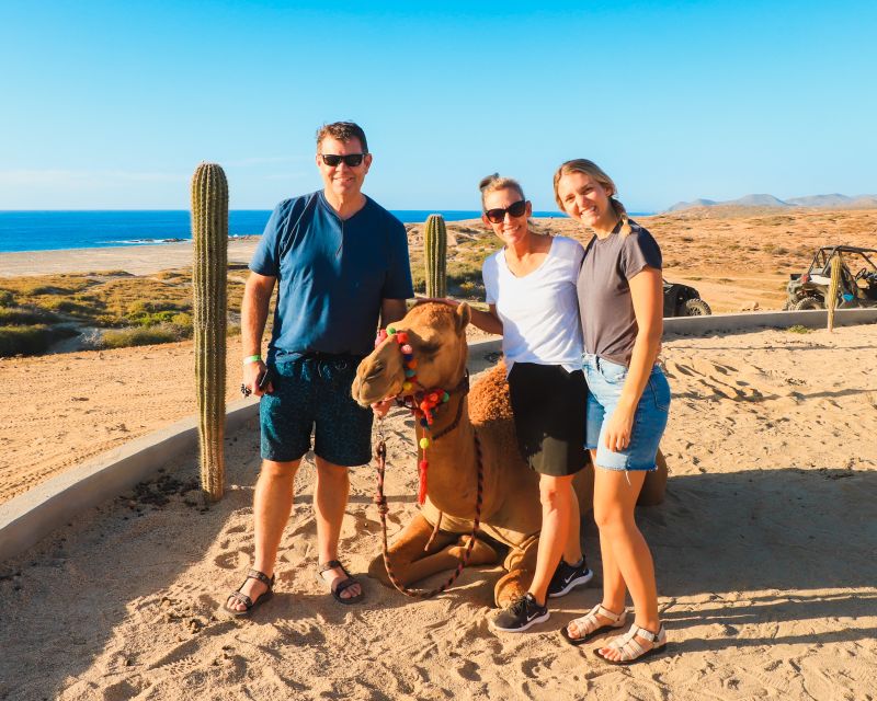 Beach Camel Ride & Encounter in Cabo by Cactus Tours Park - Key Points