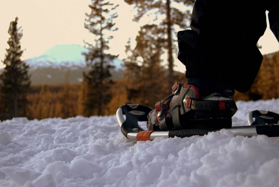 Bend: Half-Day Snowshoe Tour in the Cascade Mountain Range - Key Points