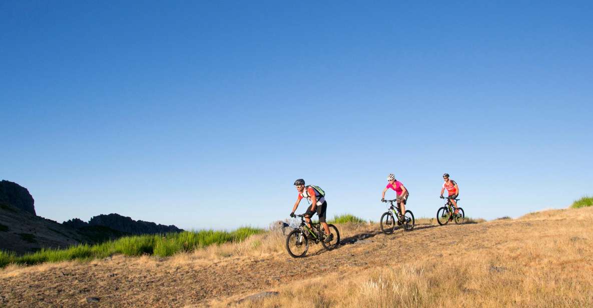 BIKE TOUR - BOTANICAL LEVELS OF MADEIRA, TRAIL EXPERIENCE - Key Points