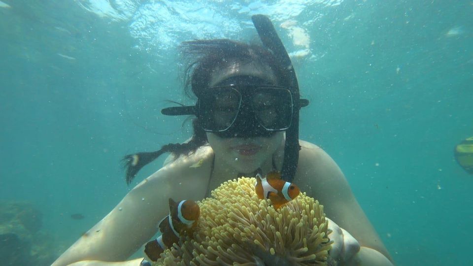 Bintan Snorkeling & White Sands Island Tour - Key Points