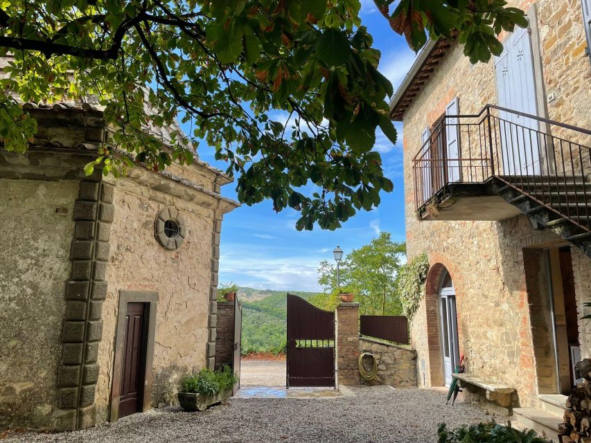 Biodynamic Chianti Wine Experience, a Day in Chianti - Key Points