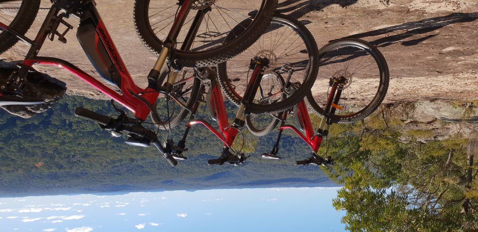 Blue Mountains: Guided Mountain E-Bike Tour, Blue Labyrinth - Key Points