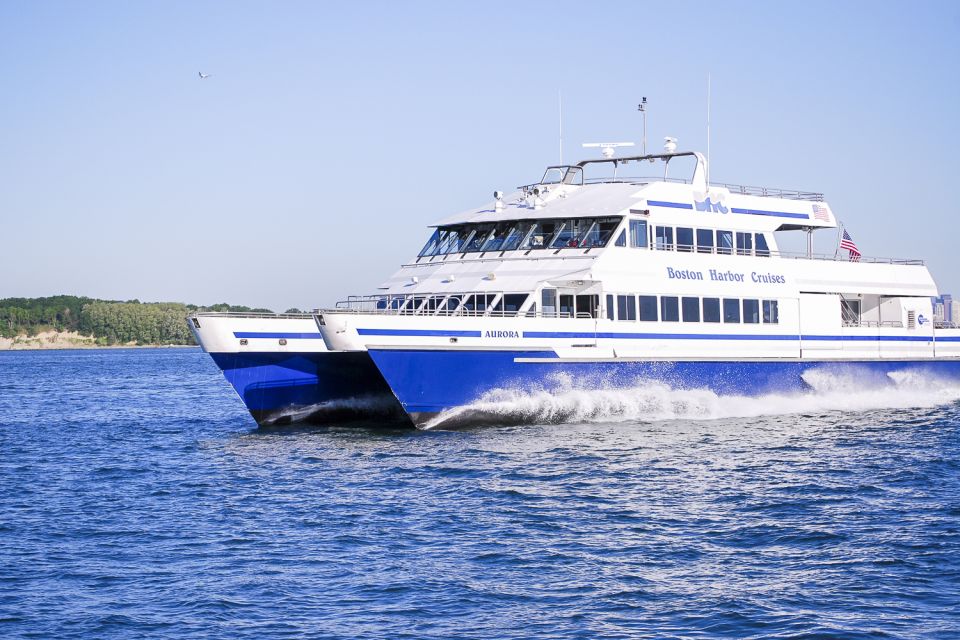 Boston: Whale Watching Catamaran Cruise - Key Points