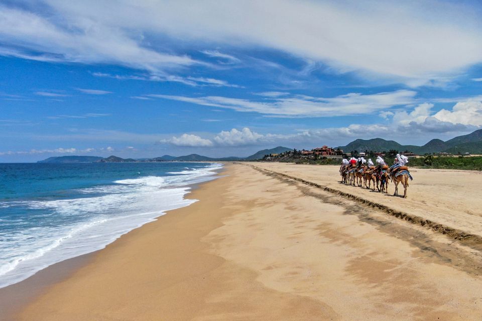 Cabo: ATV, Camel Ride, Mexican Lunch, and Tequila Combo Tour - Key Points