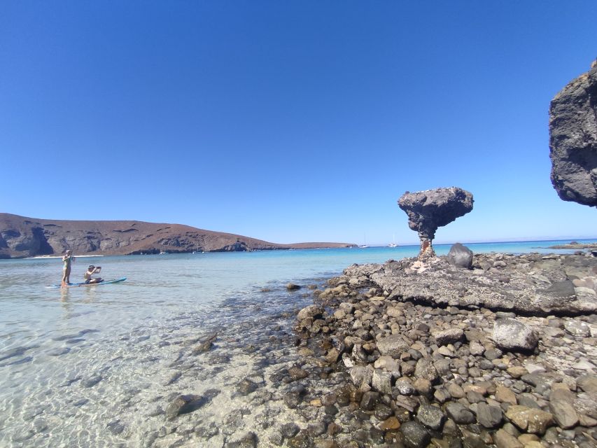 Cabo San Lucas: Balandra Beach and City Tour - Guided Tour Experience