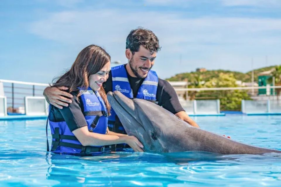 Cabo San Lucas: Dolphin Swim Class With Marine Specialist - Overview of the Activity