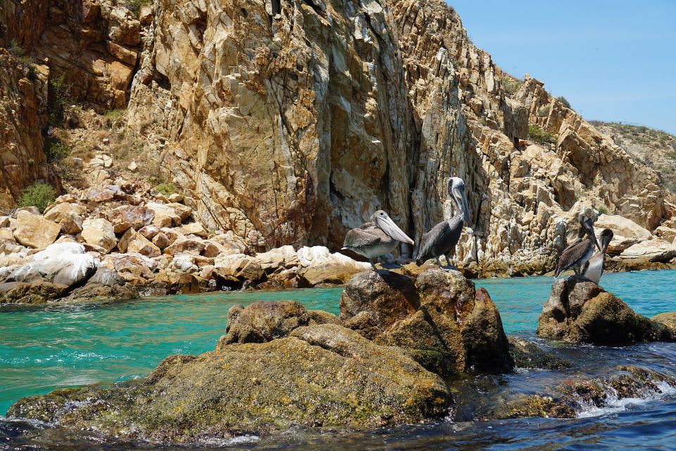 Cabo San Lucas: Glass-Bottom Boat Ride to End of the Earth - Key Points