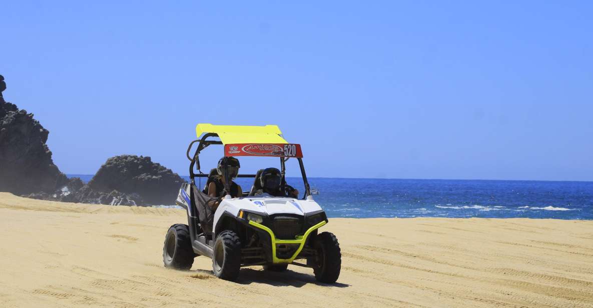 Cabo San Lucas: UTV Beach and Desert Excursion - Key Points