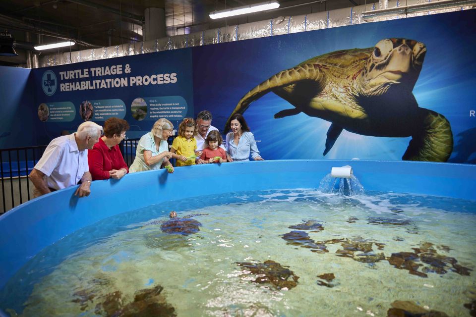 Cairns: Aquarium Entry Ticket and Turtle Rehabilitation Tour - Key Points