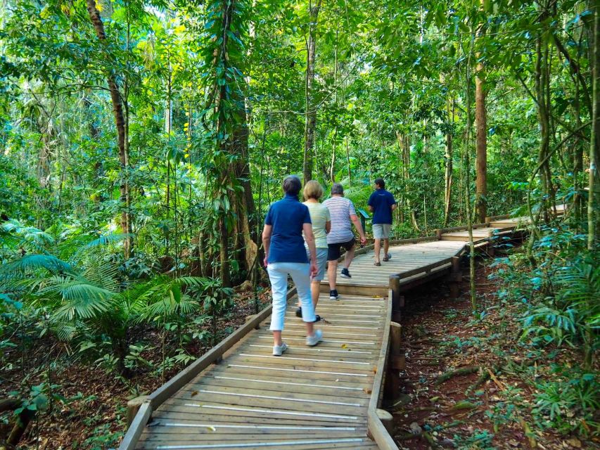 Cairns: Daintree Rainforest Canopy Ziplining Tour - Key Points