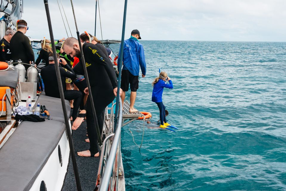 Cairns: Green Island & Great Barrier Reef Sailing Tour - Key Points