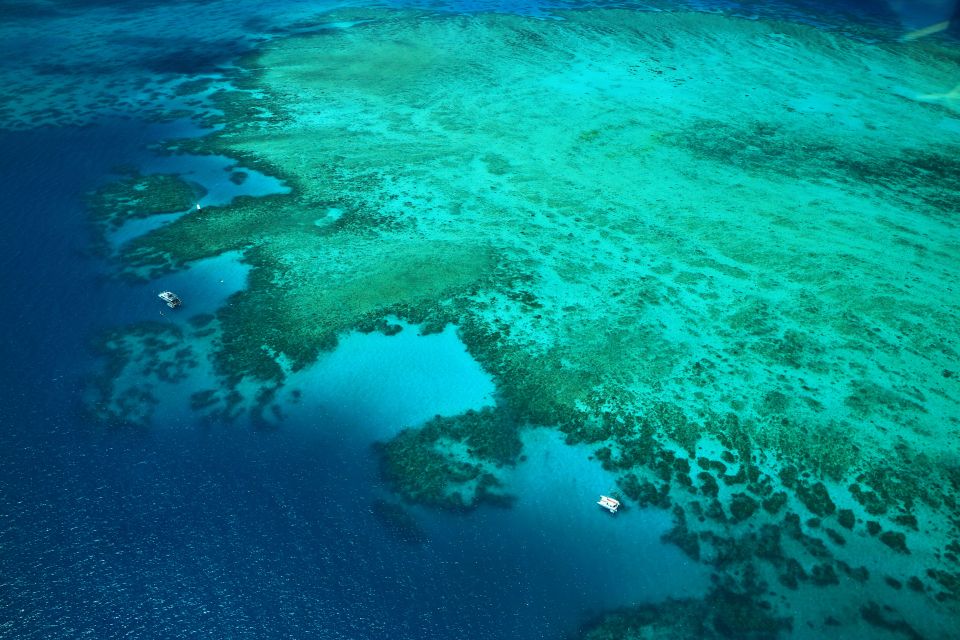 Cairns: Outer Edges of The Great Barrier Reef Scenic Flight - Key Points
