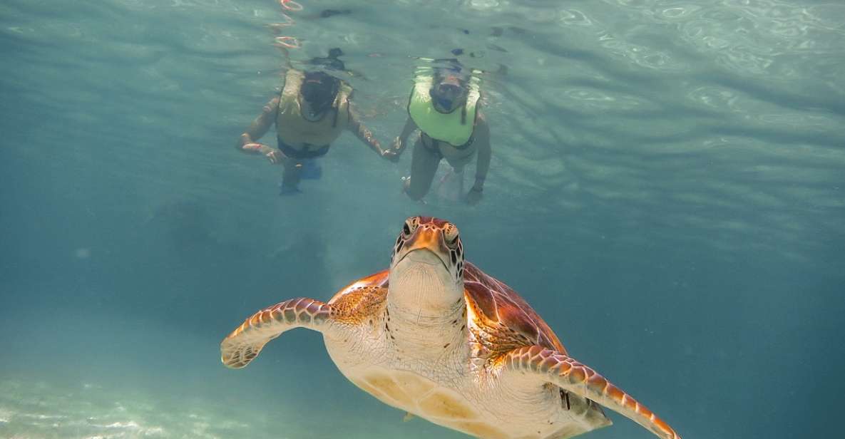 Cancun: Akumal Turtles and Cenote Snorkeling Tour