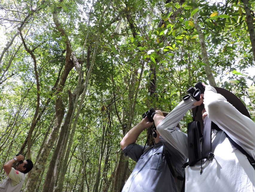 Cancún: Guided Birdwatching Hike - Key Points