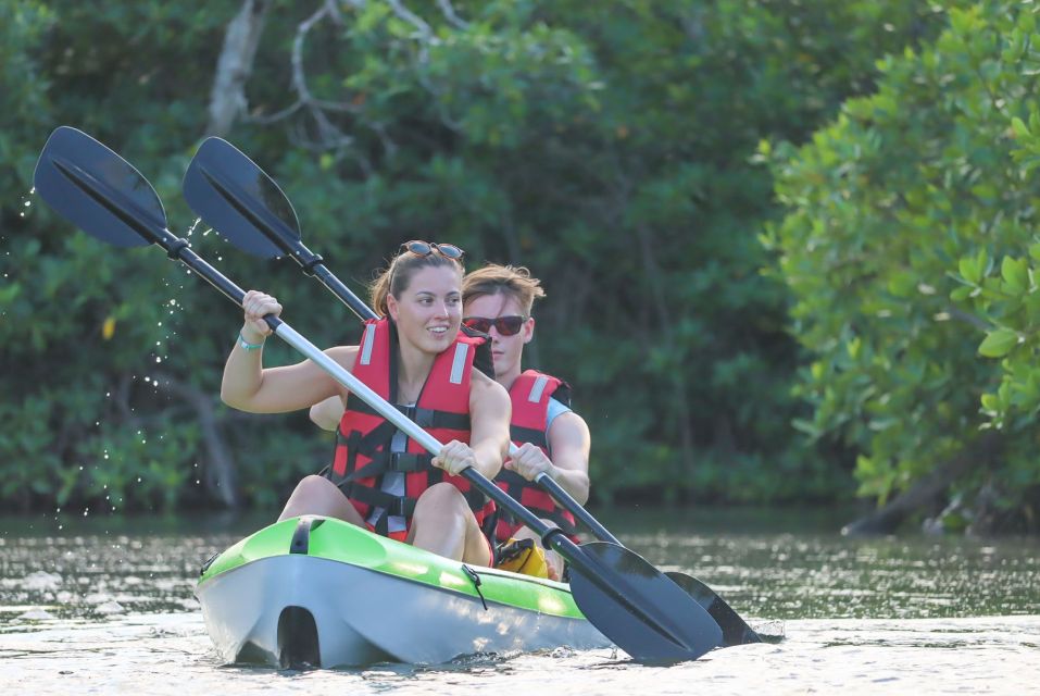 Cancun: Sunset Kayak Experience in the Mangroves - Key Points