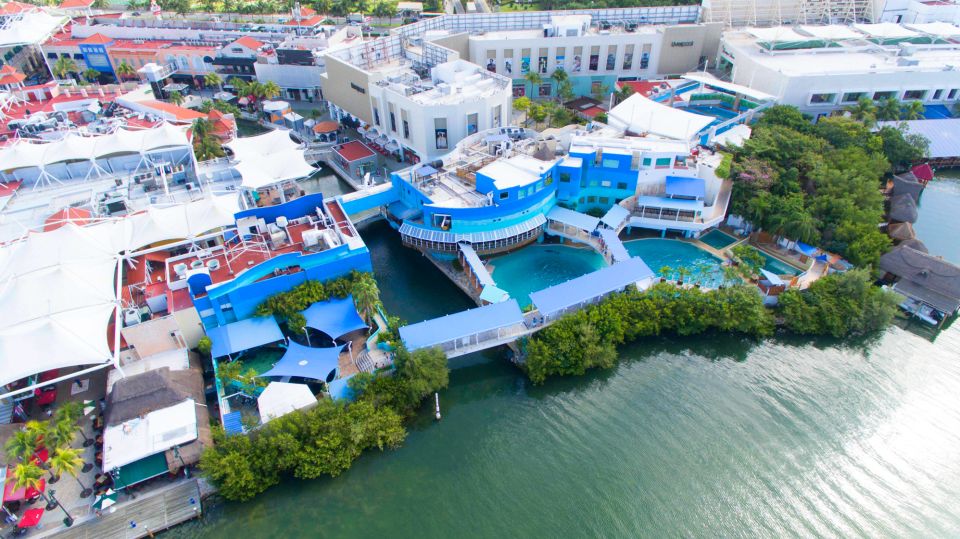 Cancún: Swim With Dolphins at Interactive Aquarium Cancún - Key Points