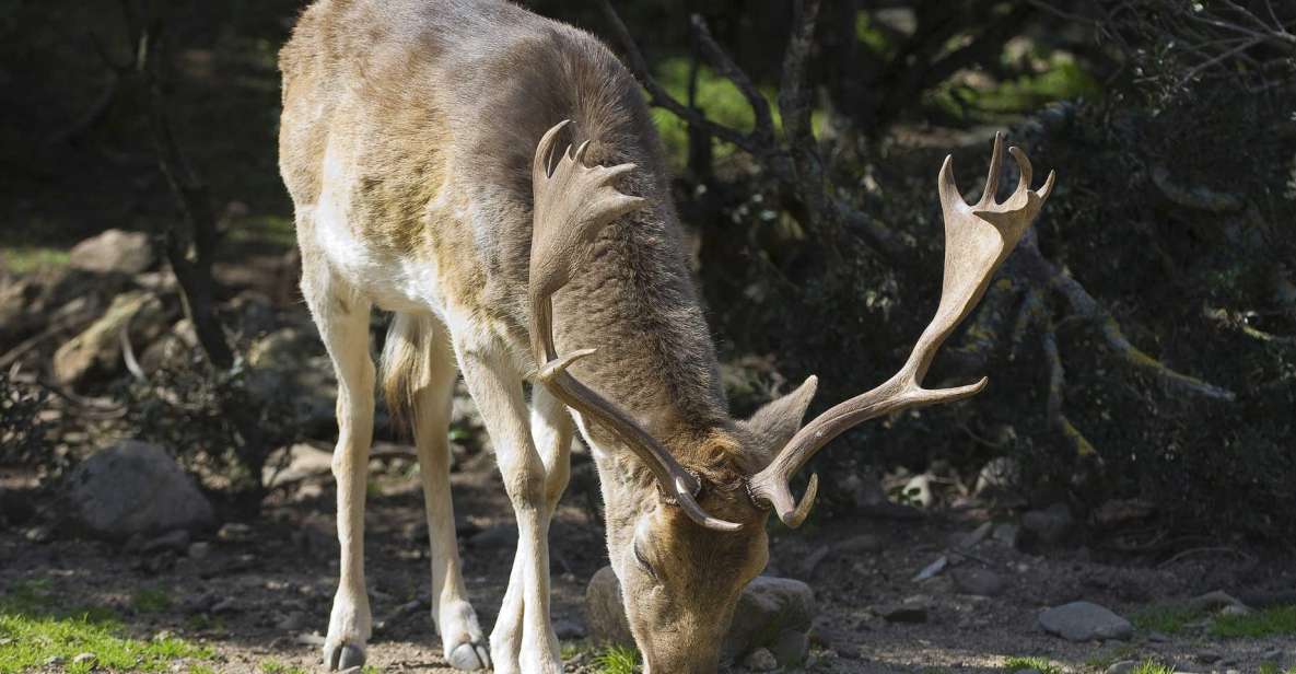 Cannoneris Nature Reserve Walking and Jeep Private Tour - Key Points