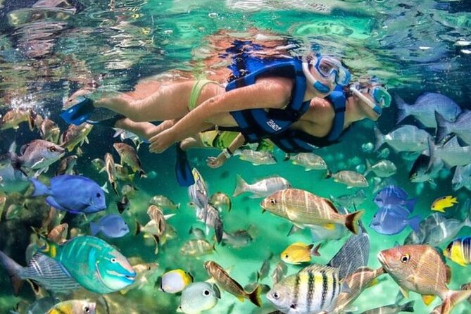 Catamaran Party Boat Half Day Trip With Snorkeling and Natural Pool - Experience Overview