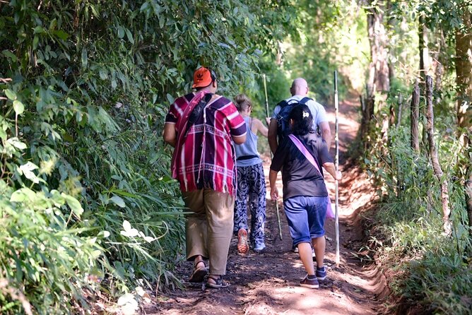 Chiang Mai Coffee Tour: Trekking to Farm, Roast and Brew Workshop - Overview of the Tour