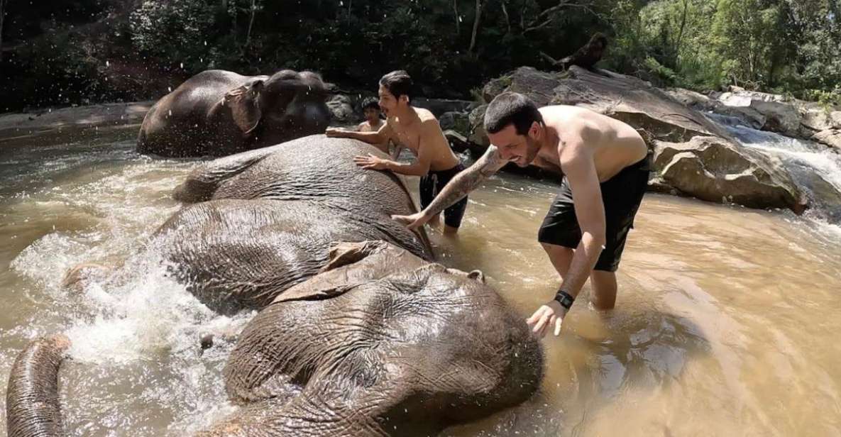 Chiang Mai :Doi Inthanon Explore &Ethical Elephant Sanctuary - Key Points