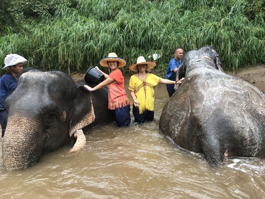 Chiang Mai: Doi Suthep Temple & Elephant Sanctuary Day Trip - Key Points