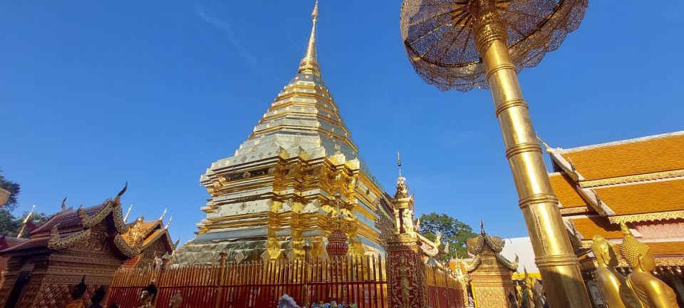 Chiang Mai: Doi Suthep Temple & Sticky Waterfall Trip - Key Points