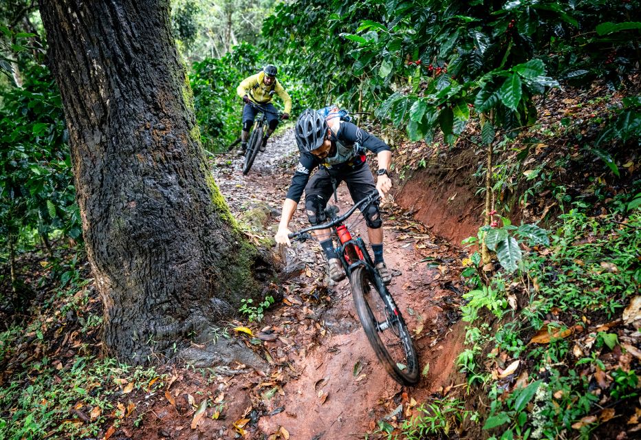 Chiang Mai: Downhill Mountain Biking Experience - Key Points