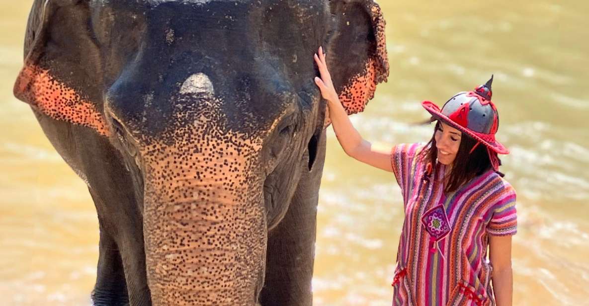 Chiang Mai : Elephant Care & Long Necked Village - Key Points