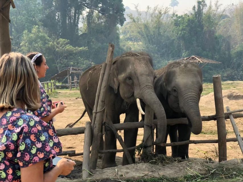 Chiang Mai Elephant Home One Day Experience - Key Points