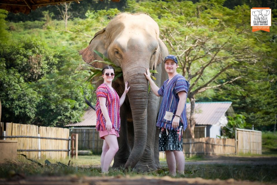 Chiang Mai: Elephant Jungle Sanctuary With Lunch & Transfer - Key Points