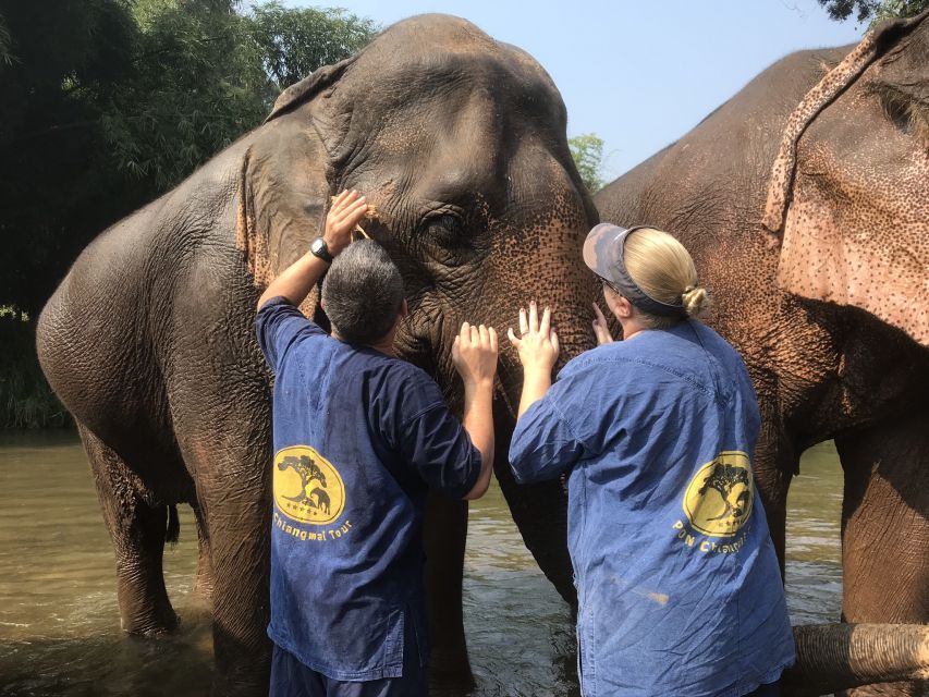 Chiang Mai: Elephant Sanctuary and Sticky Waterfall Tour - Key Points