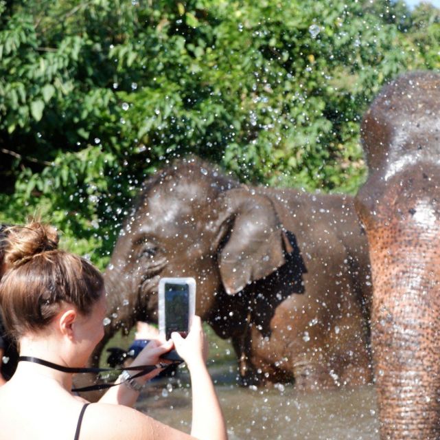 Chiang Mai: Explore Forests to Waterfalls and Water Rafting - Key Points