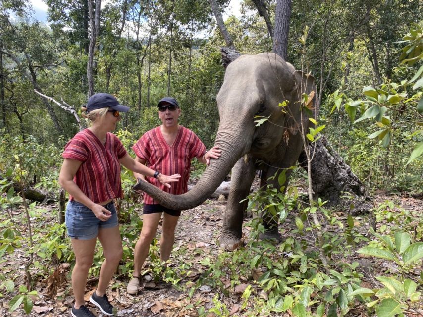 Chiang Mai: Waterfall, Elephant Sanctuary, and Rafting Tour - Key Points