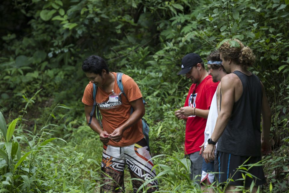 Chiang Mai: Whitewater Rafting and Waterfall Trekking Tour - Key Points