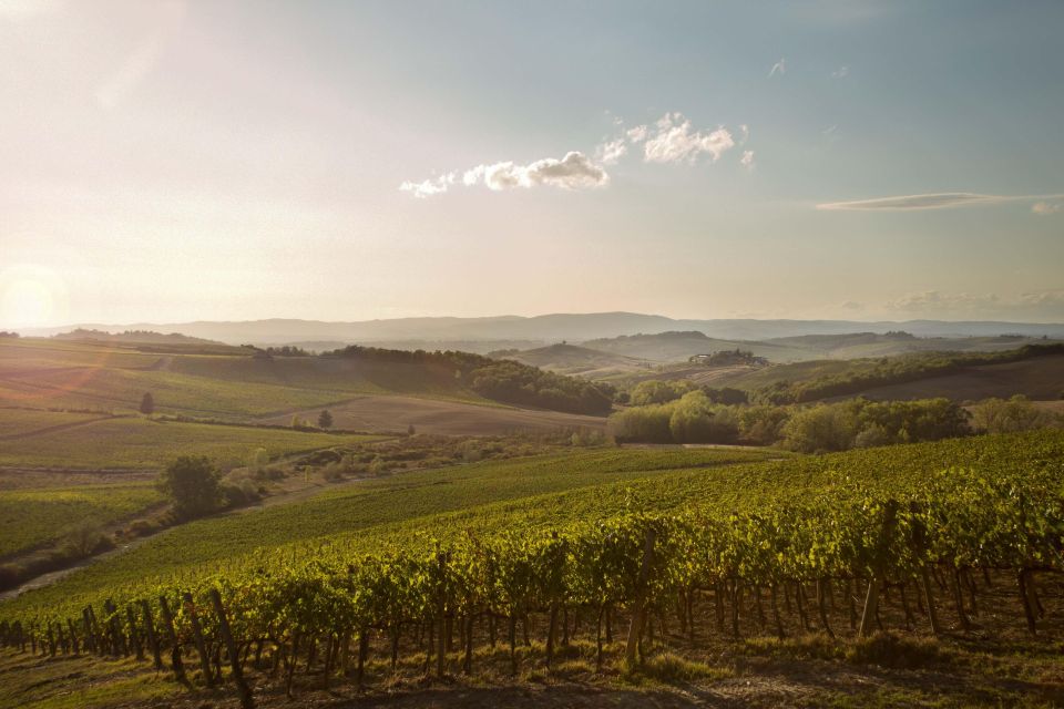 Chianti Classico and Super Tuscan Wine Tour - Key Points