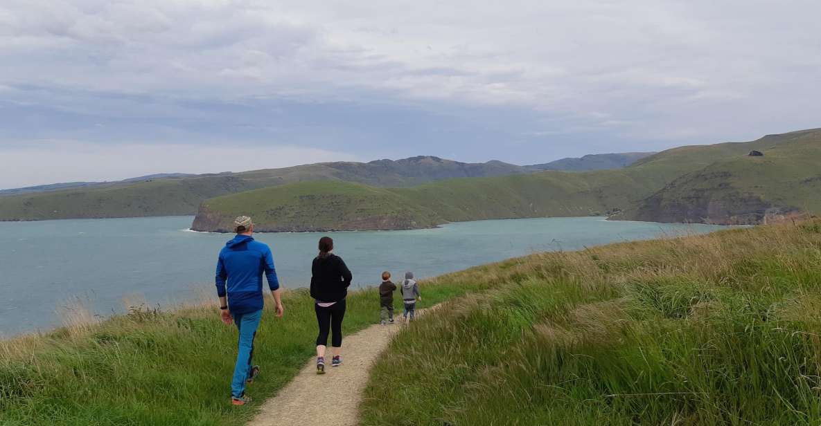 Christchurch: Godley Head & Lyttelton Guided Walking Tour - Key Points