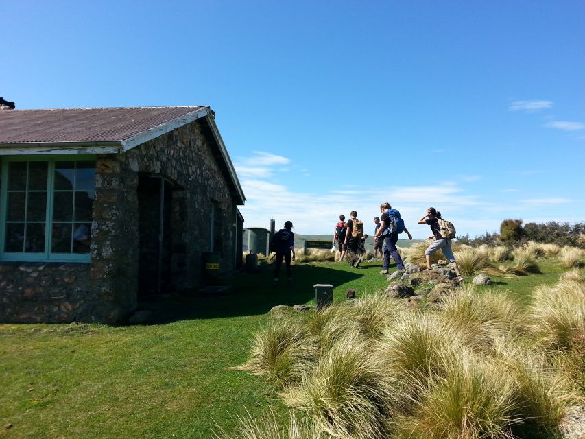 Christchurch: Packhorse Hut Guided Walk and Scenic Drive - Key Points