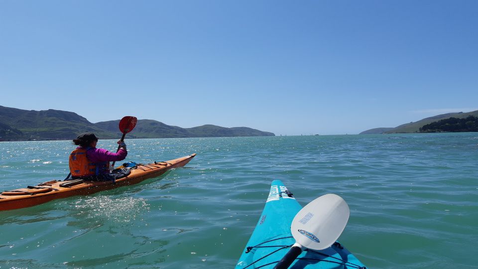 Christchurch: Sea Kayaking Tour of Lyttelton Harbour - Key Points